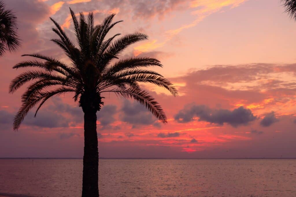 Tampa Bay during a scenic sunset in Florida the USA