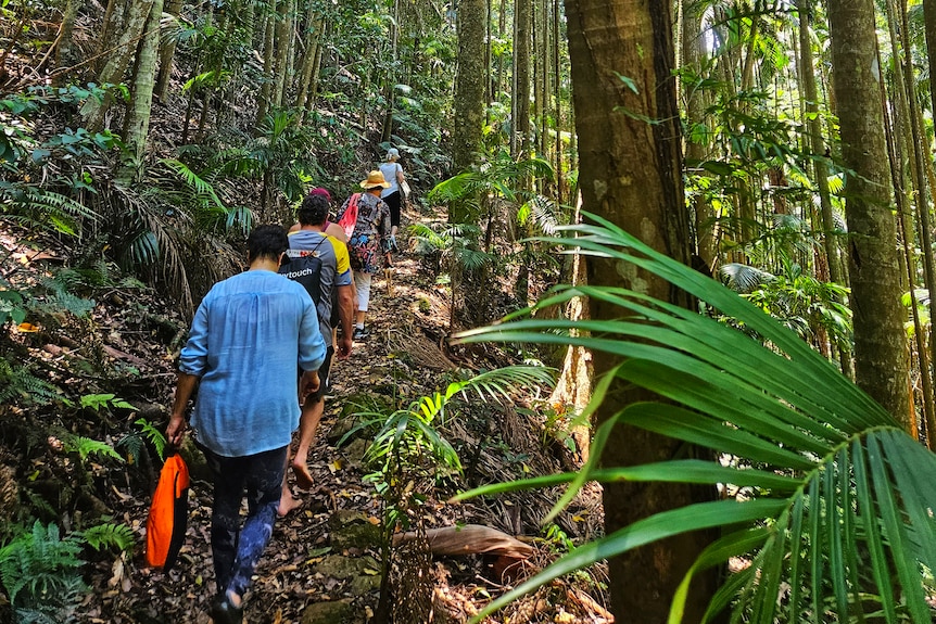 People walking through some of Queensland's idyllic nature reserves.